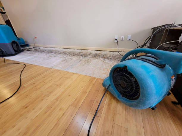 Professional Burst Pipe Water Damage technician working in Joppa, MD
